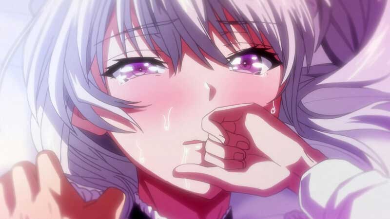 美少女アニメ（びしょうじょあにめ）とは