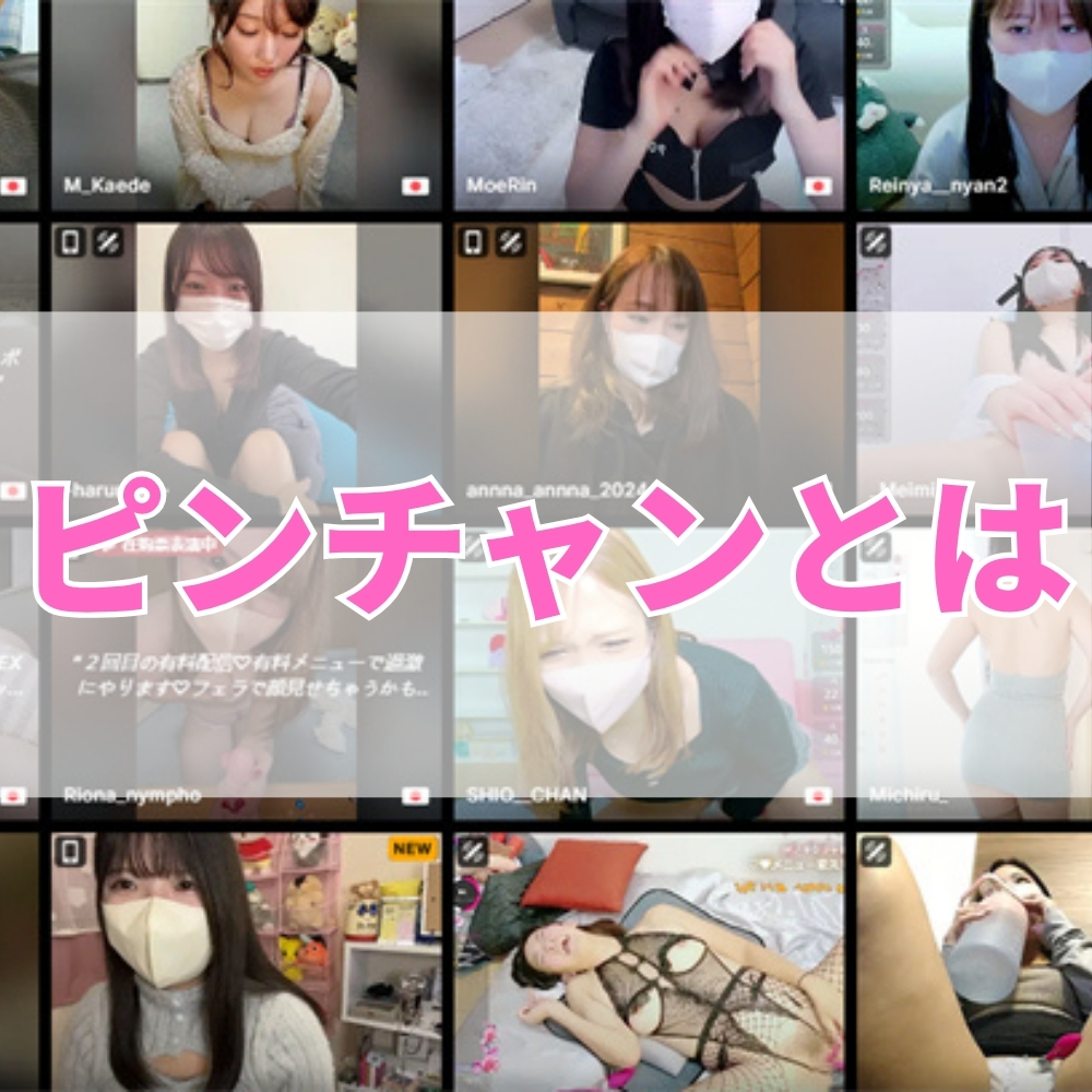 ピンチャン（ぴんちゃん）とは