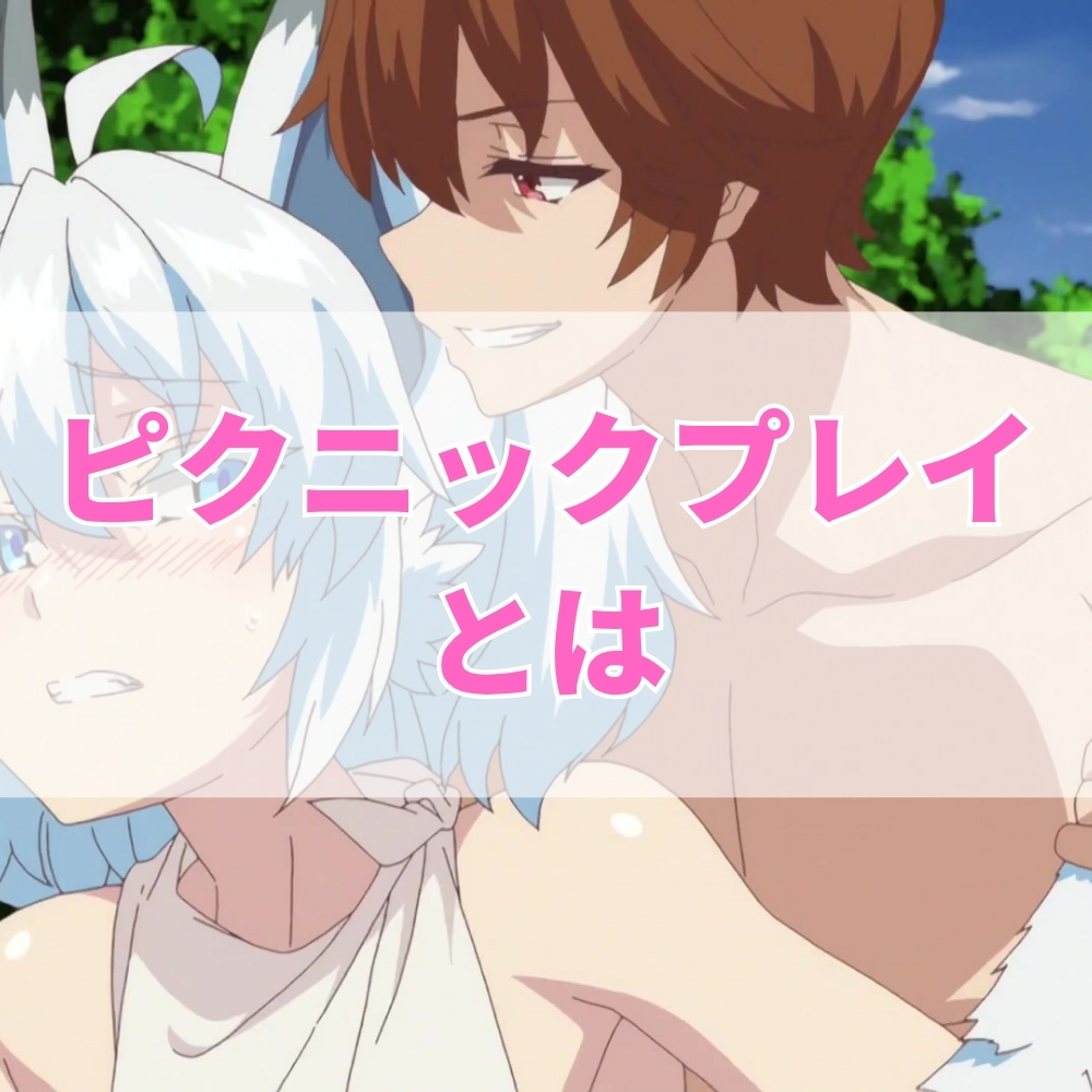 ピクニックプレイ（ぴくにっくぷれい）とは