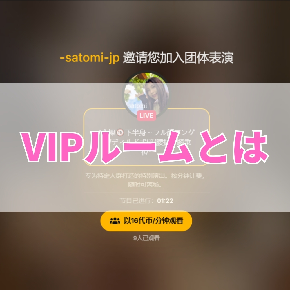 VIPルーム（ぶいあいぴーるーむ）とは