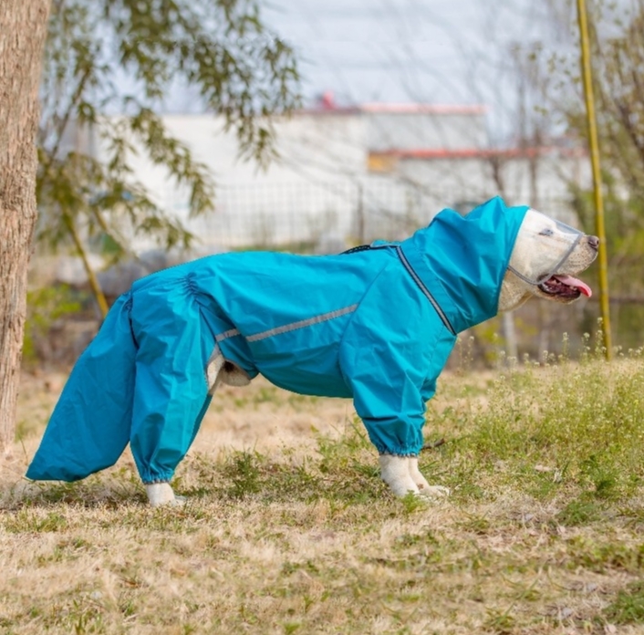 Large Dog Raincoat
