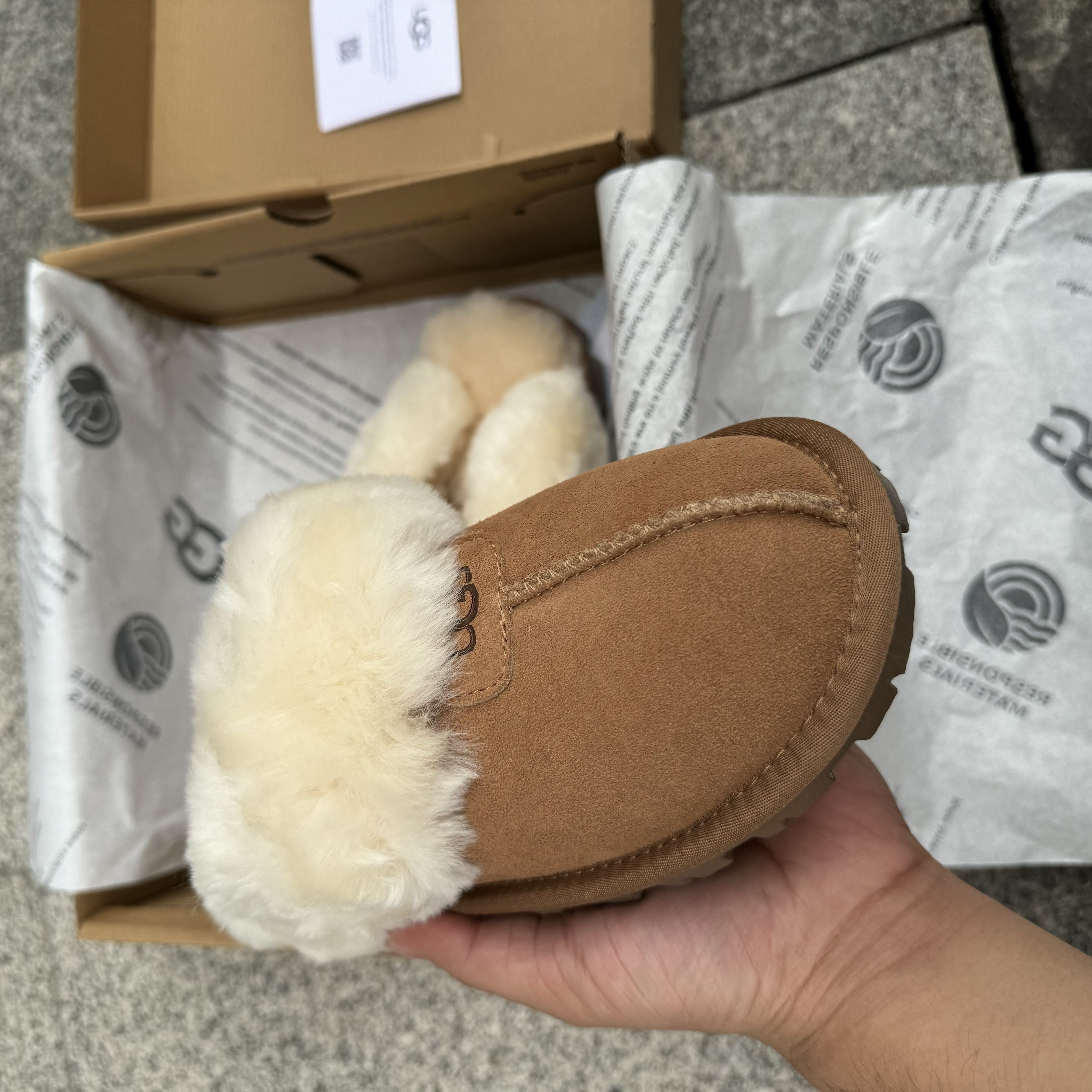 UGG Coquette