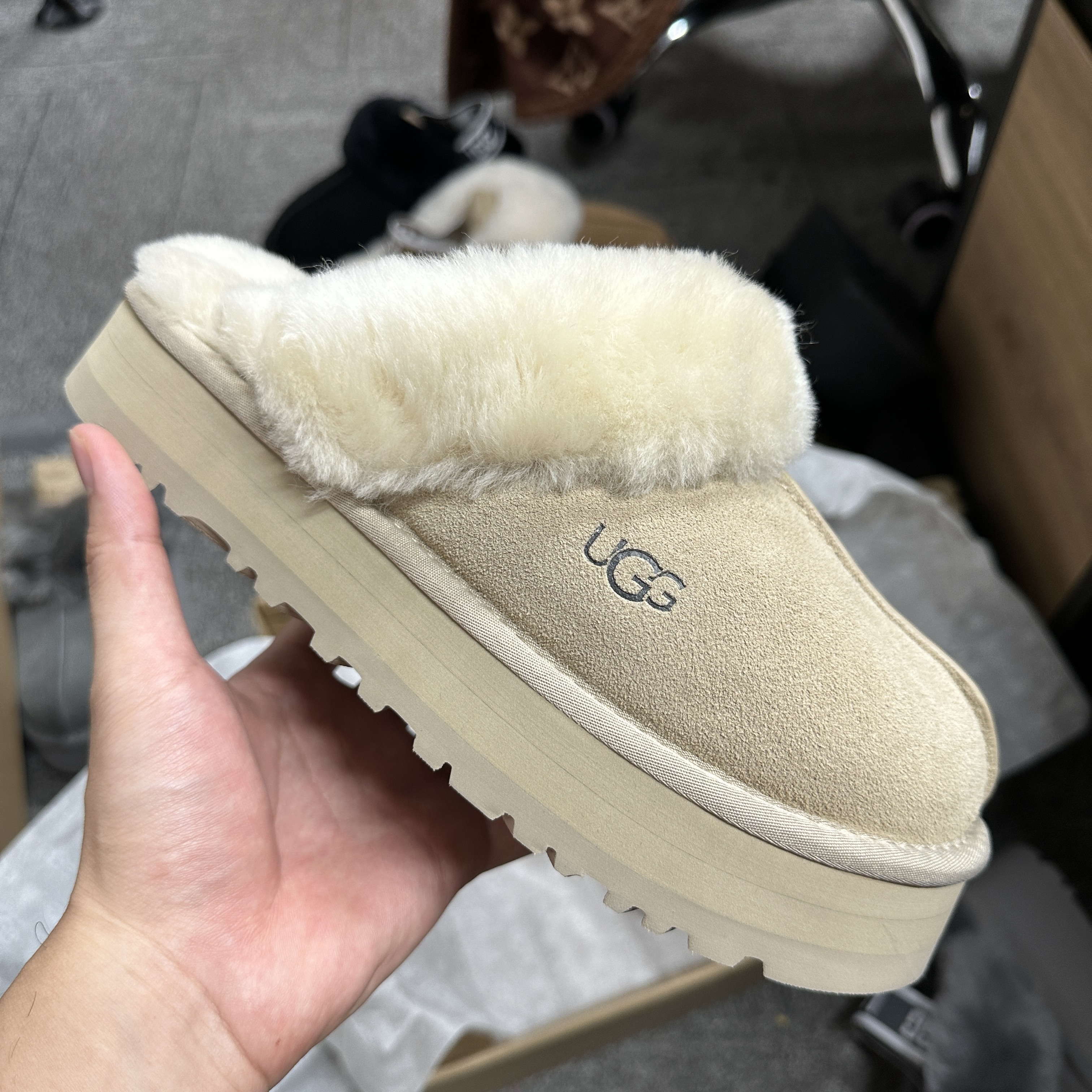 UGG Disquette