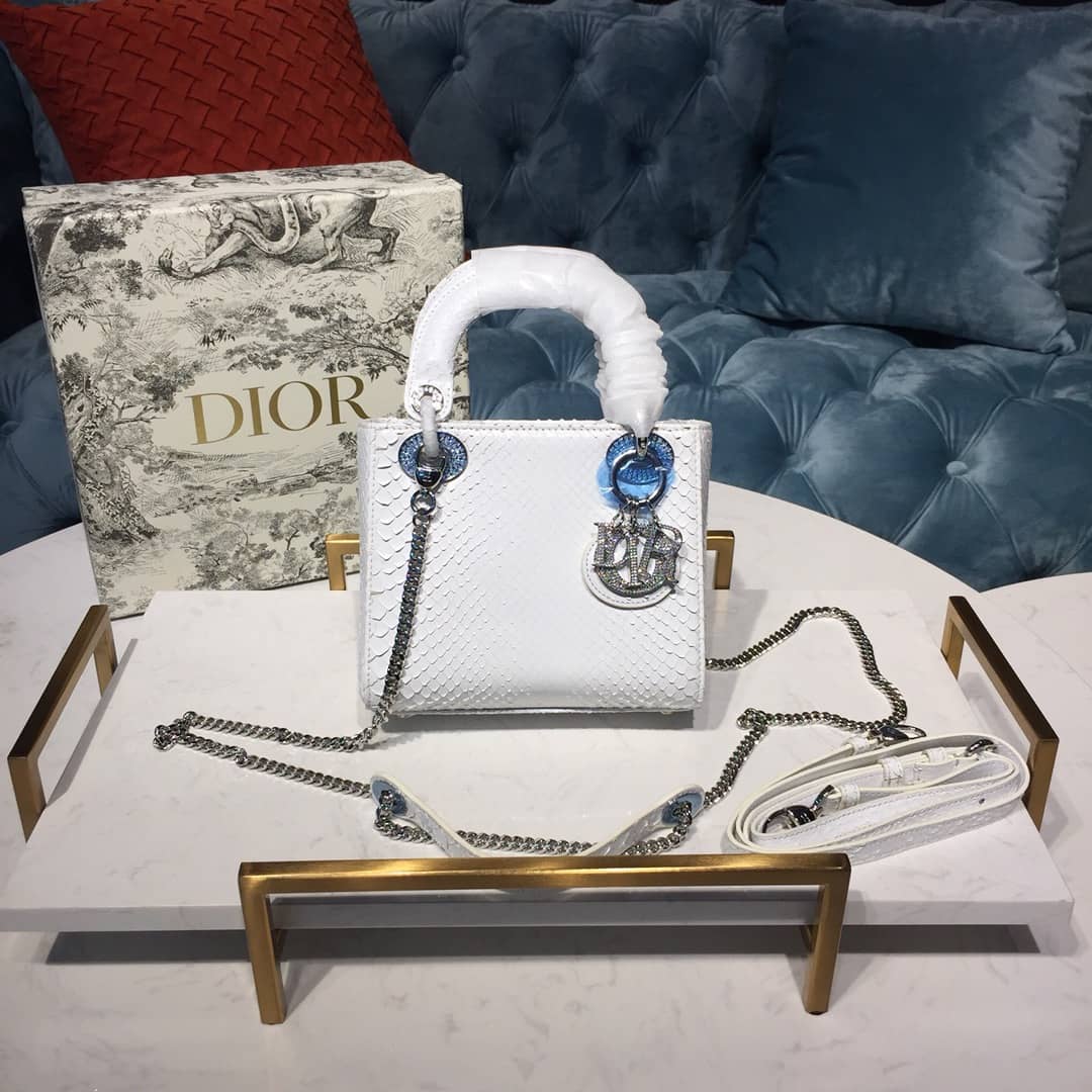 Christian Dior Lady Dior 17CM Replica Bag