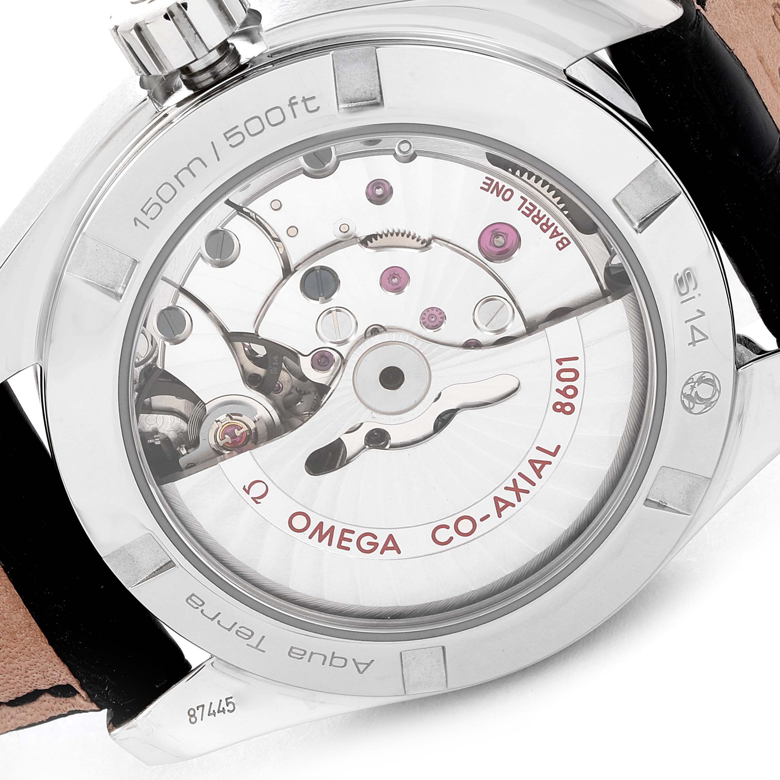 Omega Seamaster Aqua Terra Annual Calendar Steel Mens Watch 231.13.39.22.01.001 Card