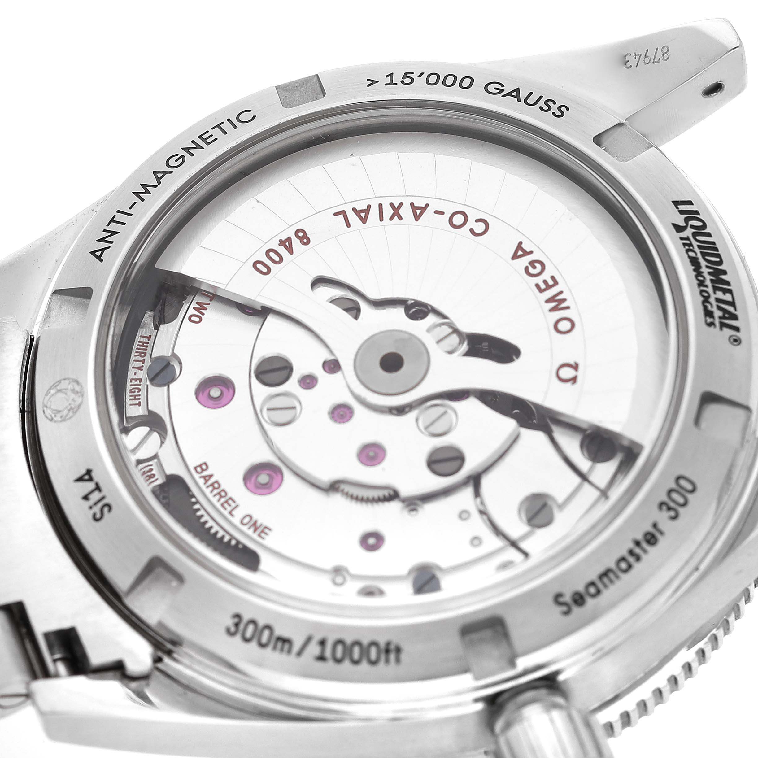 Omega Seamaster 300 Master Co-Axial Mens Watch 233.30.41.21.01.001 Box Card