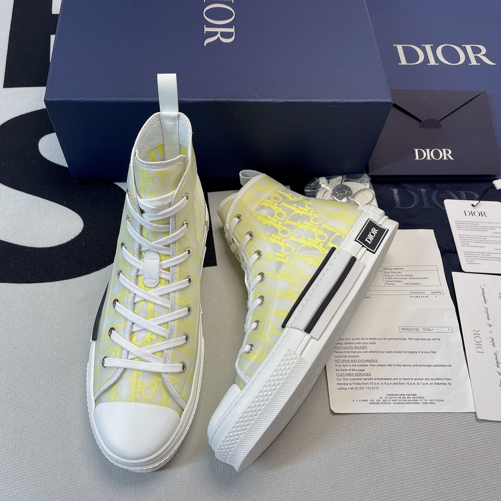Dior B23 High Top Sneaker 21