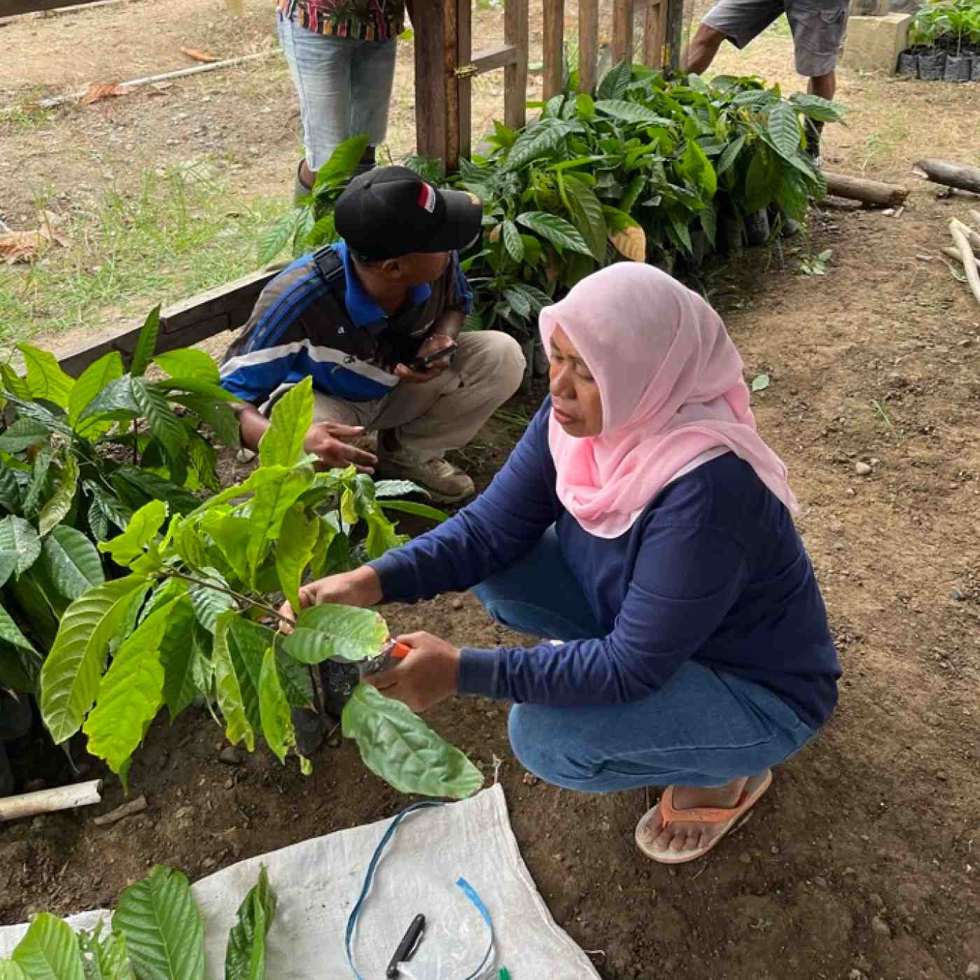 Ransiki, Indonesia 70% 2022 Harvest Single-Origin Chocolate Bar