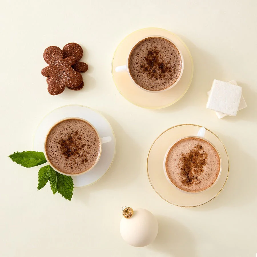 Seasonal Hot Chocolate Mix Trio with Marshmallows
