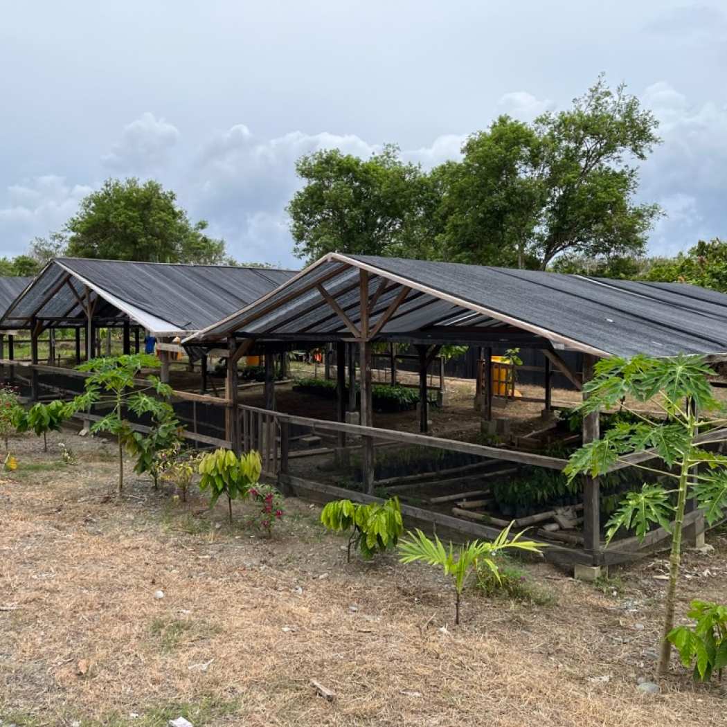 Ransiki, Indonesia 70% 2022 Harvest Single-Origin Chocolate Bar