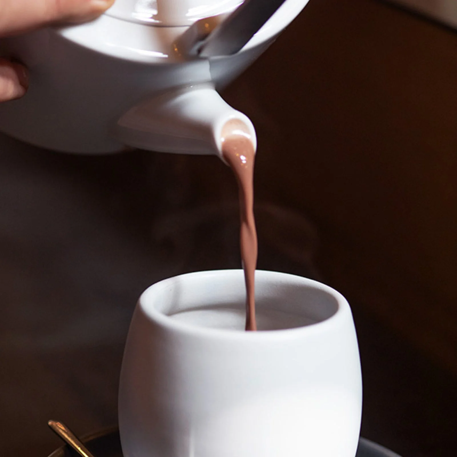 Seasonal Hot Chocolate Trio with marshmallows- Lincoln Access