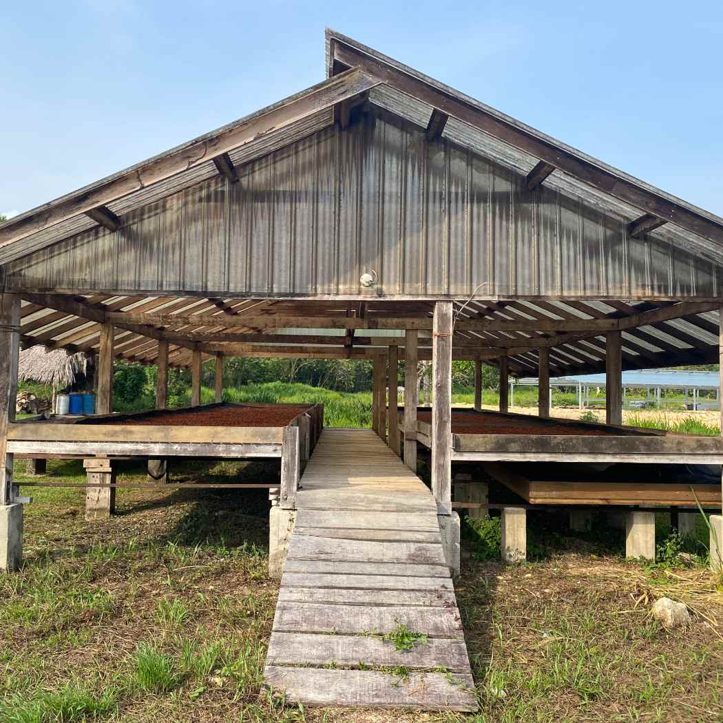 Maya Mountain, Belize 70% 2024 Harvest Single-Origin Chocolate Bar