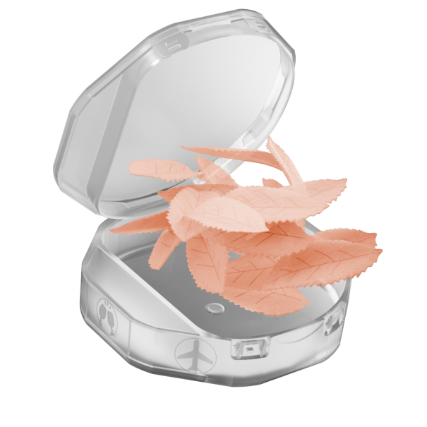 ZAR Watermelon 6mg - NeoLux