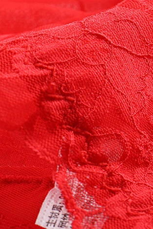 High Waist Panties Women Underwear Sexy Lace Transparent Briefs Big Pantie Female Underpants Lingerie ﻿