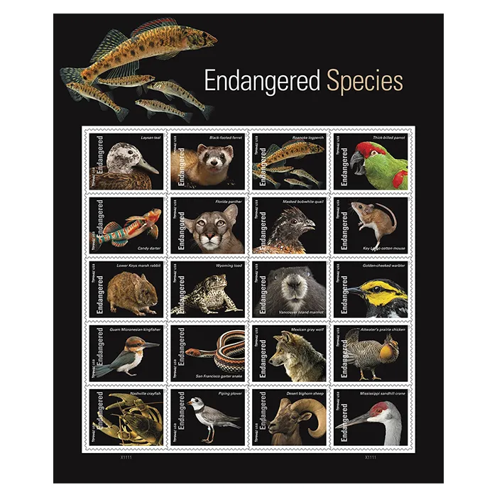 Endangered Species Forever Stamps 2023