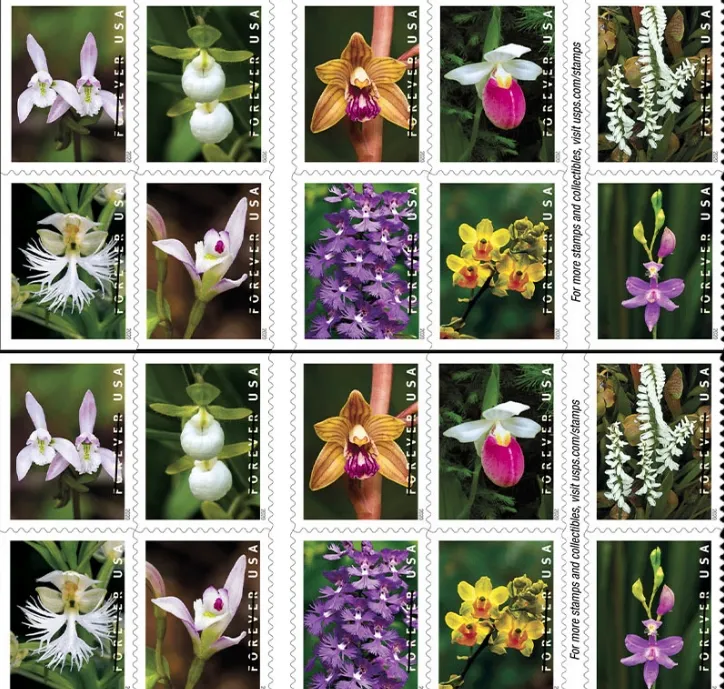 Wild Orchids Forever Stamps 2020