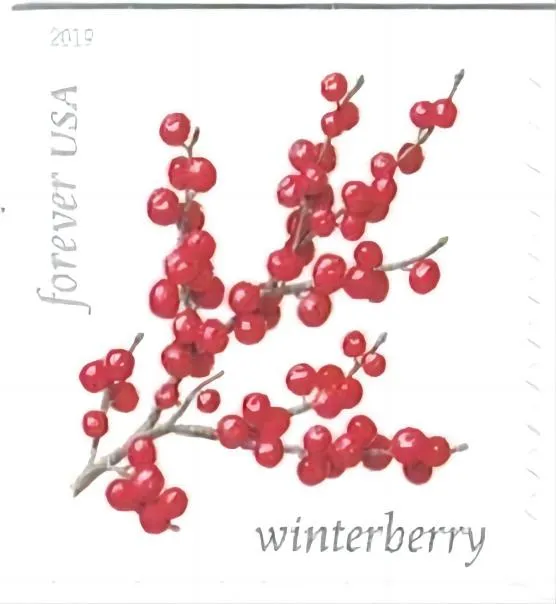 Winter Berries Forever Stamps 2019