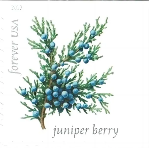 Winter Berries Forever Stamps 2019
