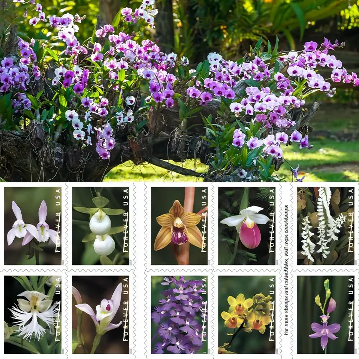 Wild Orchids Forever Stamps 2020