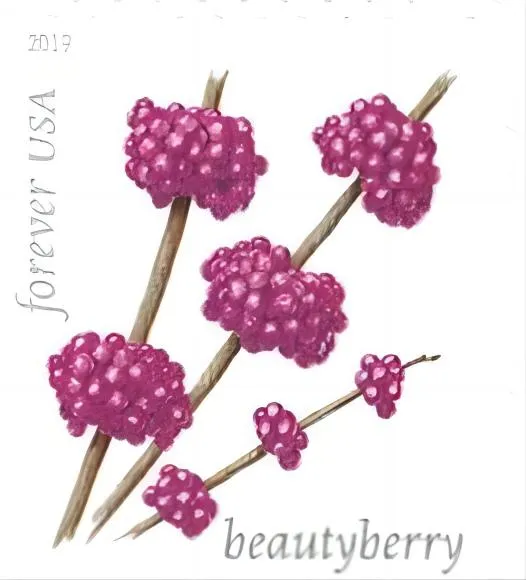 Winter Berries Forever Stamps 2019