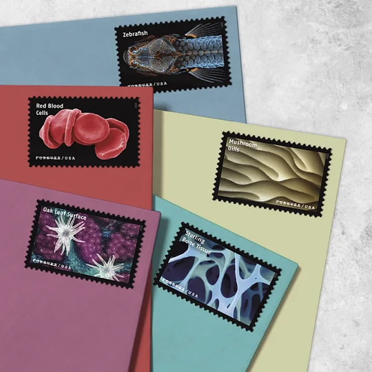 Life Magnified Stamps