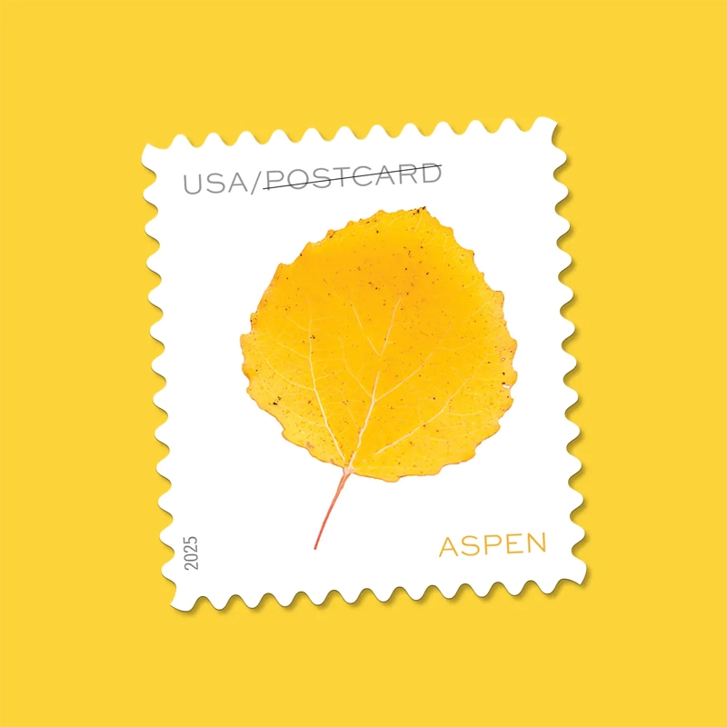 Vibrant Leaves Postcard Stamps