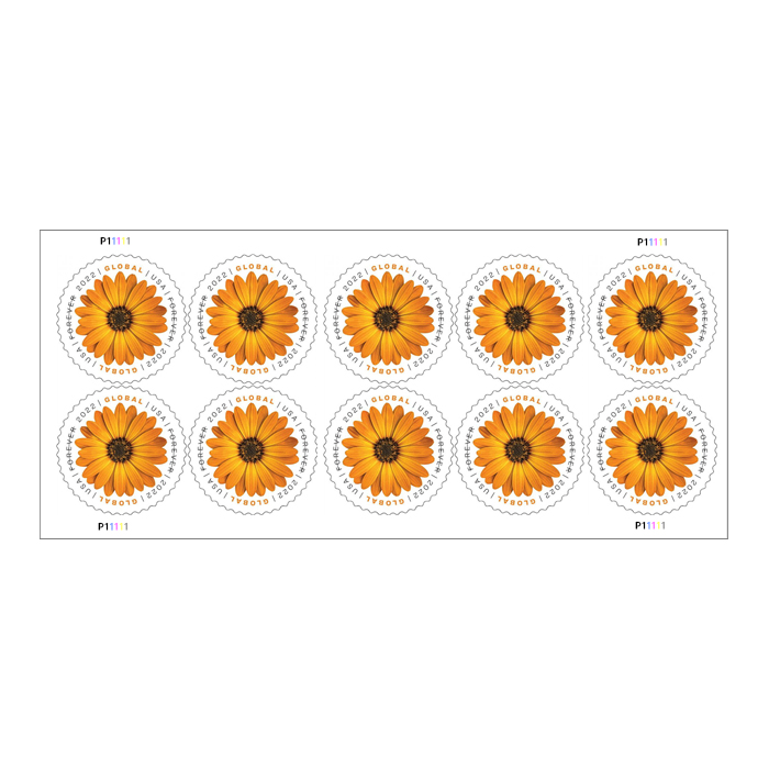 African Daisy Stamps 2022