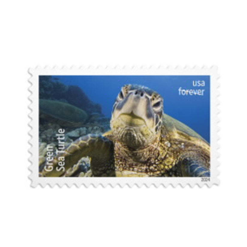 Protect Sea Turtles Forever Stamps 2024