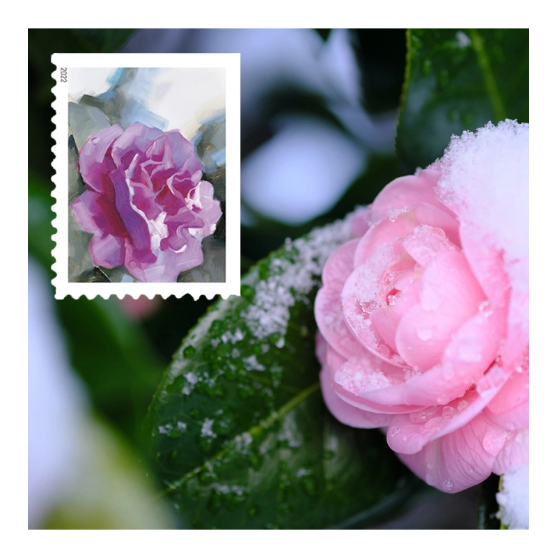 Snowy Beauty Stamps 2022