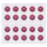 Global: Chrysanthemum 2020