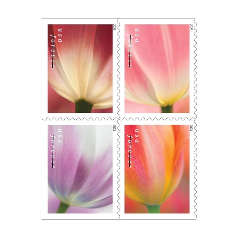 Tulip Blossoms Stamps