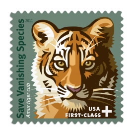 Save Vanishing Species Amur Tiger 2011