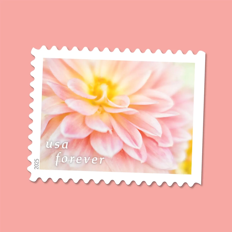 Dahlias Stamps