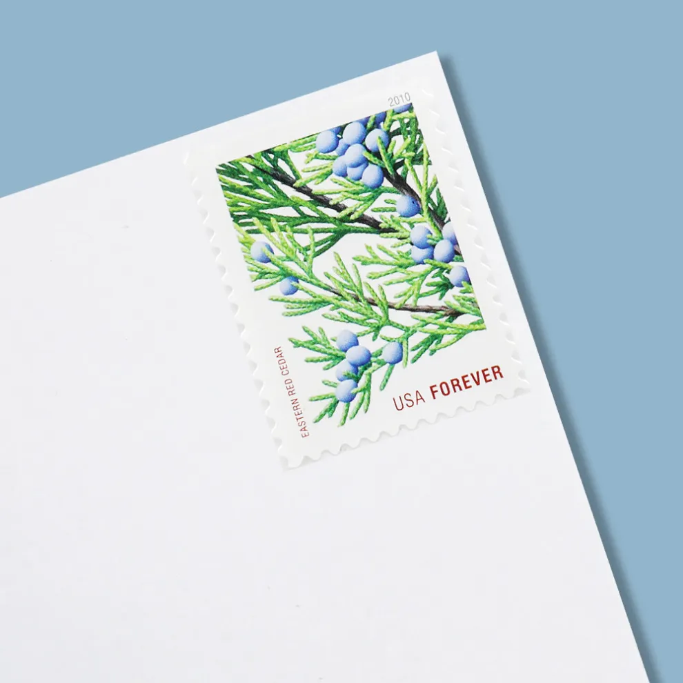 2010 Holiday Evergreens (Forever)