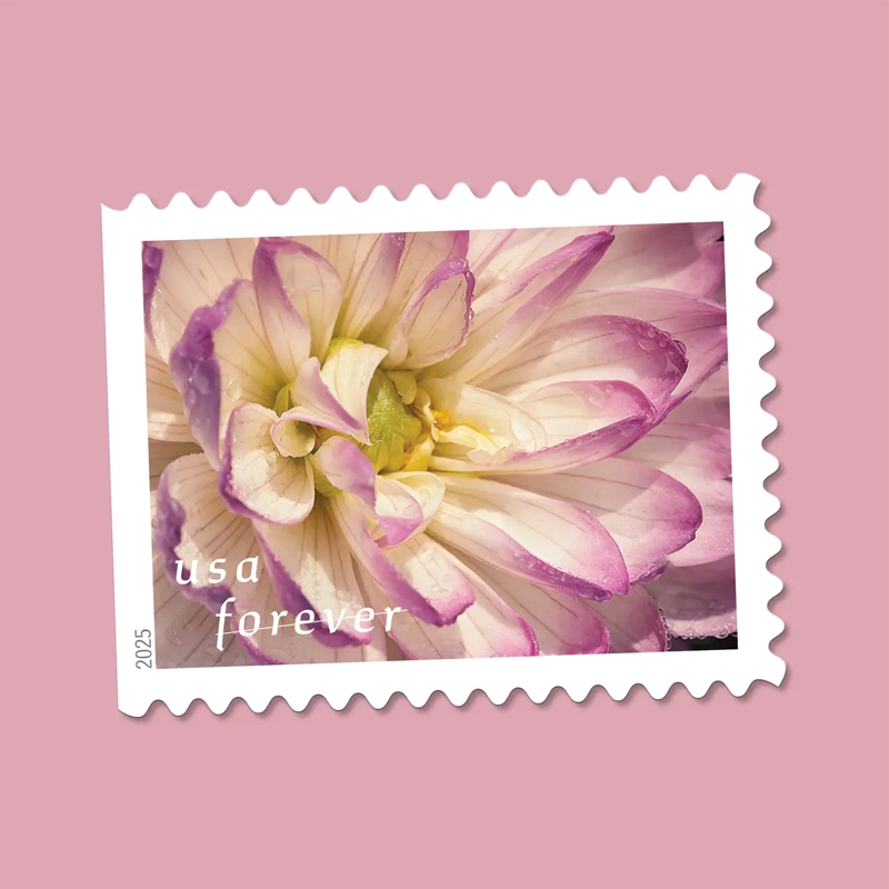 Dahlias Stamps