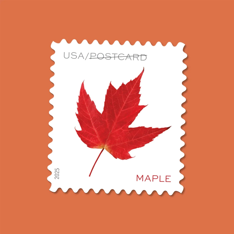 Vibrant Leaves Postcard Stamps