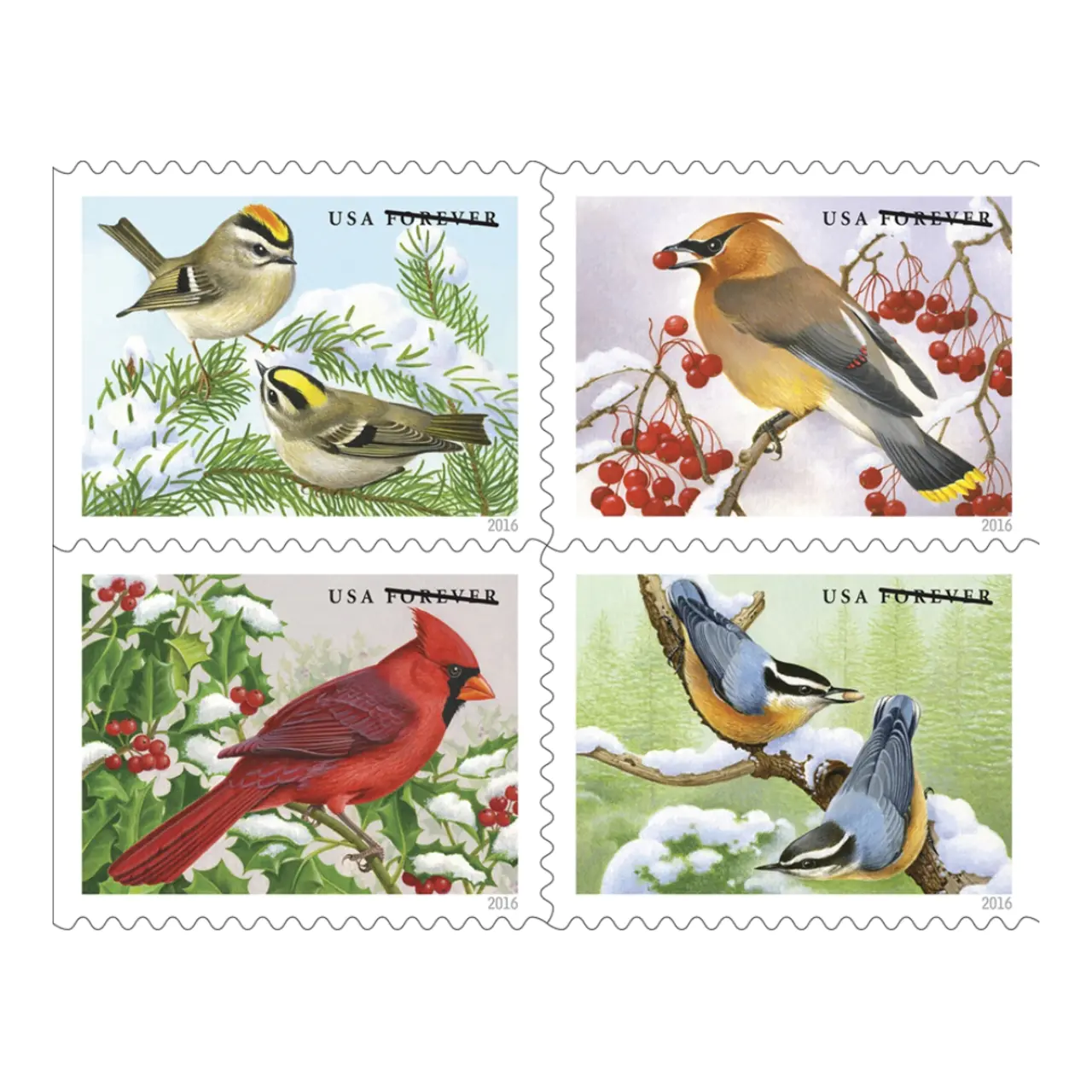 Songbirds in Snow. 2016