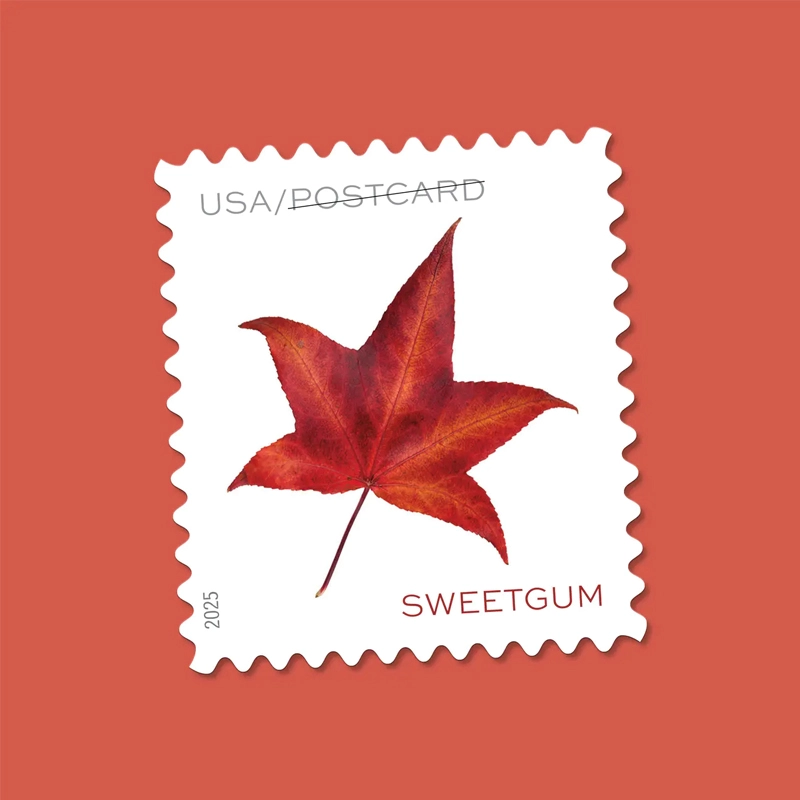 Vibrant Leaves Postcard Stamps