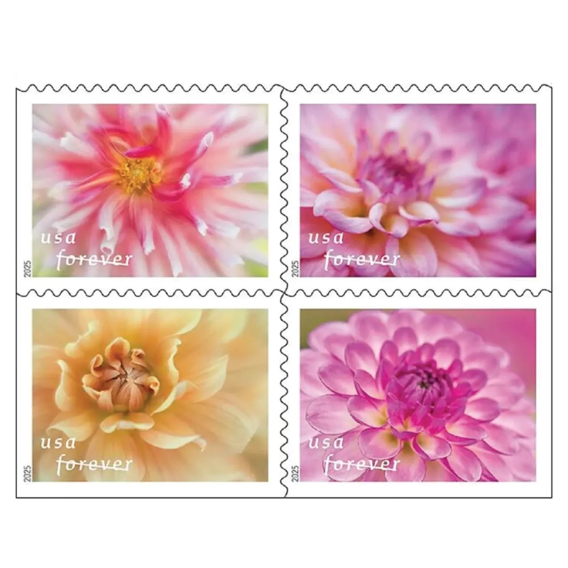 Dahlias Stamps