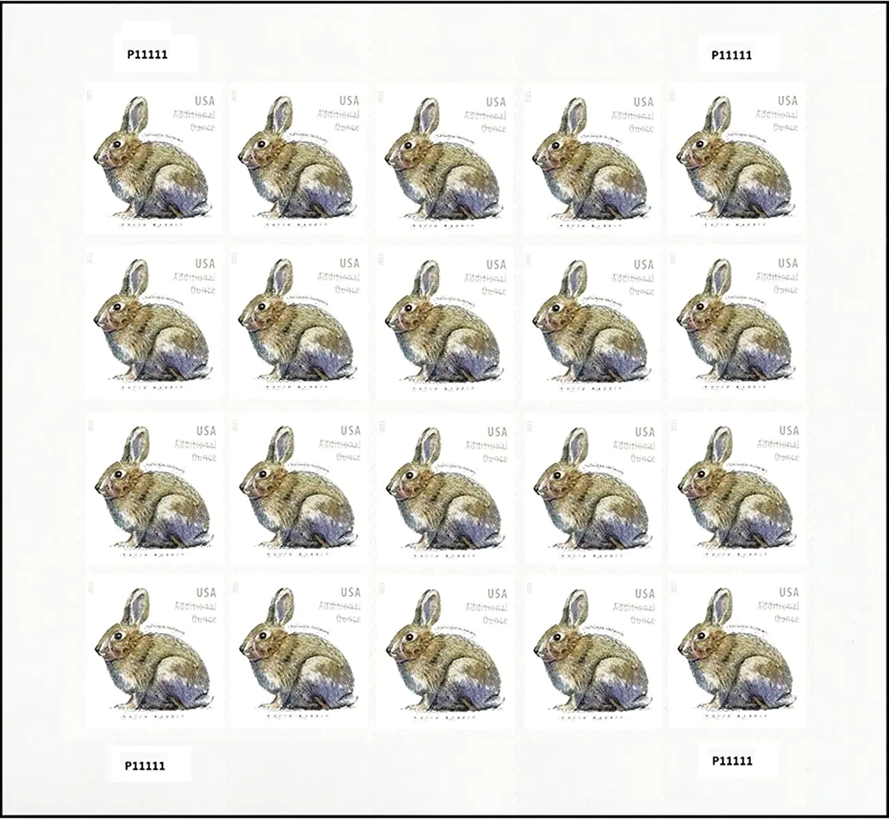 Rabbits. 2021
