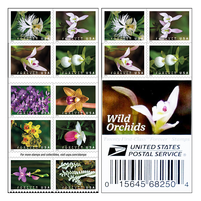 Wild Orchids Forever Stamps
