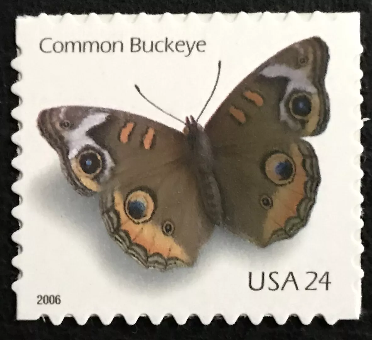 Common Buckeye Stamps