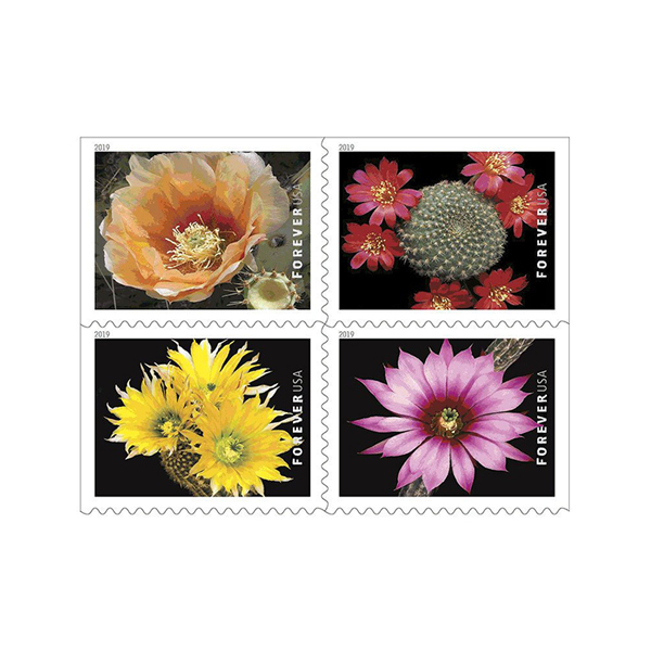 Cactus Flowers Forever Stamps