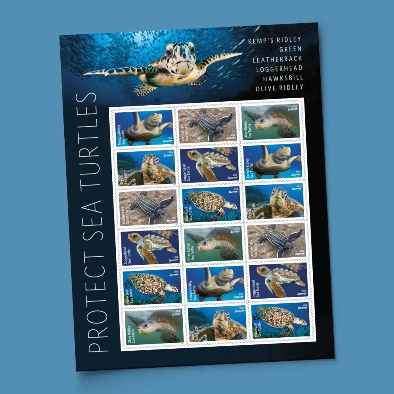 Protect Sea Turtles Forever Stamps 2024