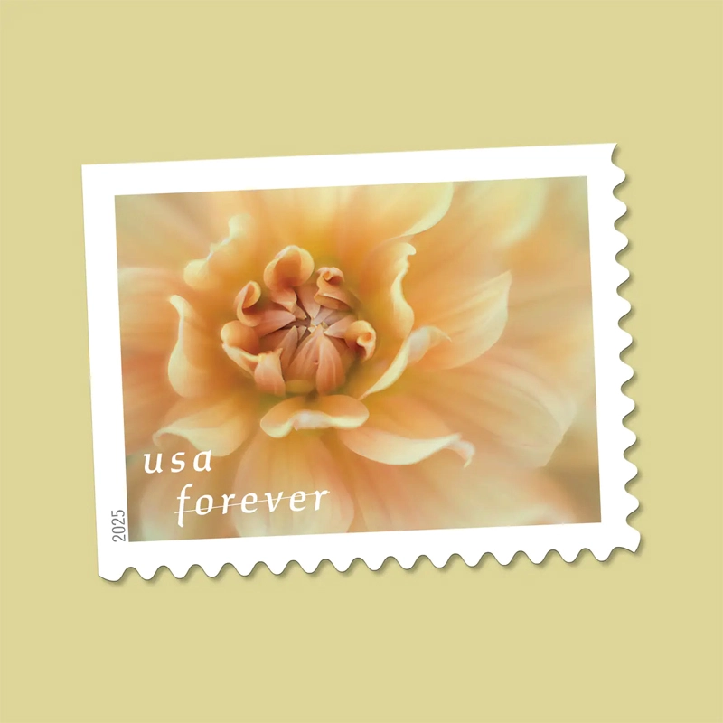Dahlias Stamps