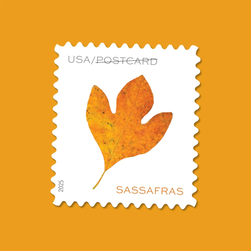 Vibrant Leaves Postcard Stamps