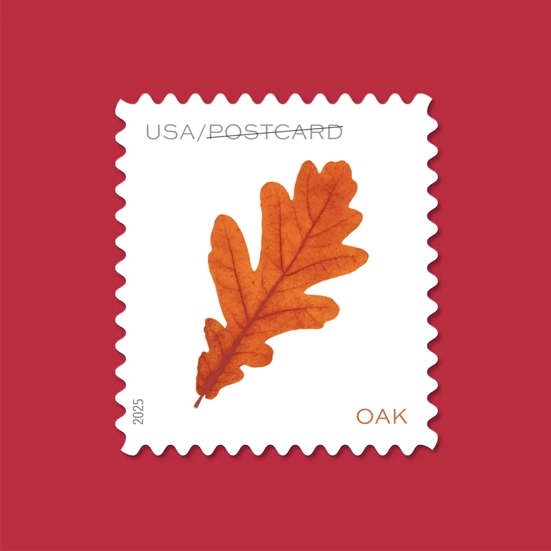 Vibrant Leaves Postcard Stamps