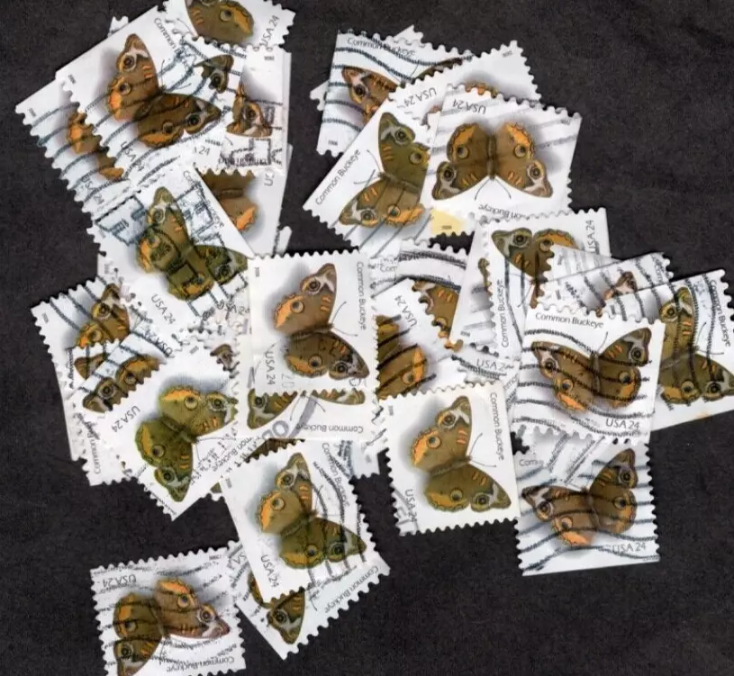 Common Buckeye Stamps
