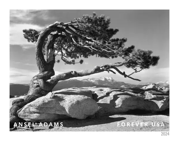 2024 Ansel Adams Forever Stamps