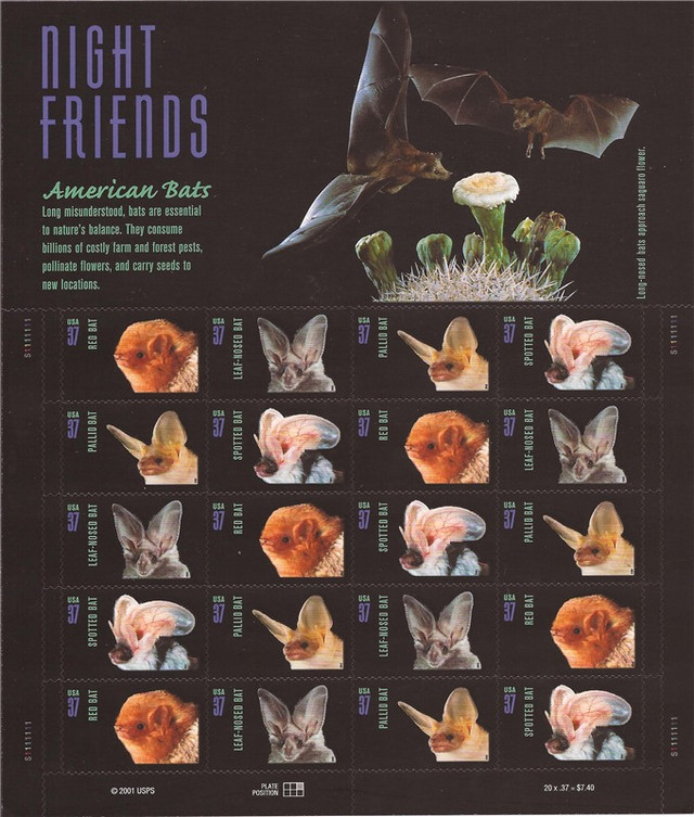 2002 American Bats